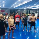 울진 제일약국 이미지