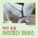 딩글댕글 | 아이캔더 노풀하네스 젠틀리쉬 콤보 후기