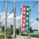 늘푸른농산 - 안산시 상록구 | 늘푸른농산