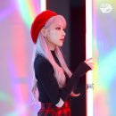 데이터컴백 Daum카페