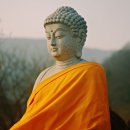 아라마 Daum카페