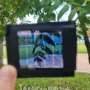 유기 태양광발전소 이미지