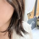 정성약국 | [광교 미용실] 살롱’정성 레이어드컷 후기 어중간한 기장 살려준 인생 미용실