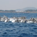 대정2리 이미지