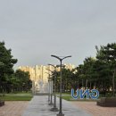 너울농장 | 2025-9월 1호