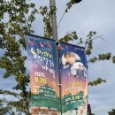 (주) 어울림남구 | 2025 힐링필링 포항 철길숲야행 공연 플리마켓 등 생생 후기