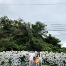 안덕면행정복지센터 이미지