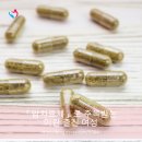 「암치료제」로 주목받는 이란 출신 여성 빌리어네어, 이색 경력