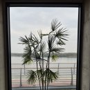 안성천 쉼터 이미지