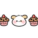 봉쥬르폼피 이미지