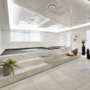 강남고속관광투어 이미지