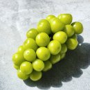 하늘과열매(주) 이미지