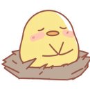 참치시연어군