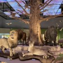 상무안경 이미지