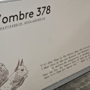 용산-현장-378 이미지