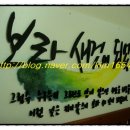 보라세탁소 이미지