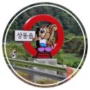 산솔면-19(수라리재 정상) | [자전거 여행] 정선 만항재