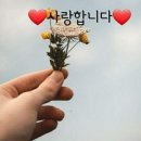 6월1일~2일 경인방 주말 출부~🍀 이미지