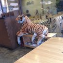 종합사회복지회관 이미지