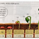 평택이화초등학교 이미지