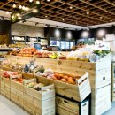 초록홀딩스 이미지