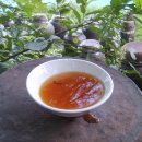 5월달 구미시농업기술센터 산야초효소강좌 예정 이미지