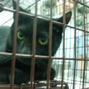 금강동물병원 이미지