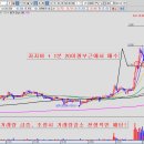 디아이인터내셔널 이미지