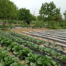 영생농장 이미지