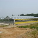 신진목장 이미지