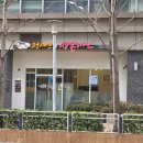 N170 | 가산디지털단지 돈까스 맛집 정셰프의생돈까스 점심 후기 (치즈카츠, 안심카츠)