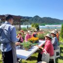 곡성군치매안심센터 이미지