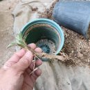 만대농장 이미지