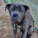 일산5리 이미지