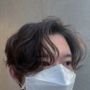 헤어트리 - 양산시 | 헤어트리