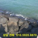 사단법인 울산콘텐츠협회 이미지