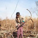 상원농장 이미지