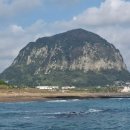 제주 산방산 암벽식물지대 이미지