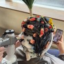 프링헤어 이미지