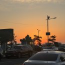 대산읍사무소 | [좌대낚시] 삼길포 자연식/입어식 <우리좌대> 내돈내산 조황후기