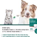 유성365약국 이미지