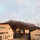 더비경 | 연천비경펜션 당포성 근처 숙소 후기 |조용한 독채에서 보낸 하루