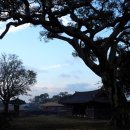 성읍리-11 이미지