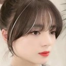 엘붙임머리