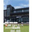 제주온투어 | 제주 돌고래 투어 즐기기 좋은 M1971 요트투어 후기