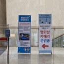 [여행준비]제주도 NH농협은행 제주수련원 숙소 예약 및 후기(+소노캄하트나무)
