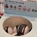 투썸 핑구 굿즈 양산 구매 및 신메뉴 샤인 청포도 주스 후기