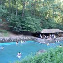 백야리산림욕장 이미지