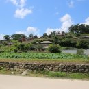 양동마을가는길 이미지