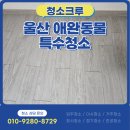 우리들 동물약품 | 울산 애완동물 특수청소 반려동물 냄새제거 소독까지